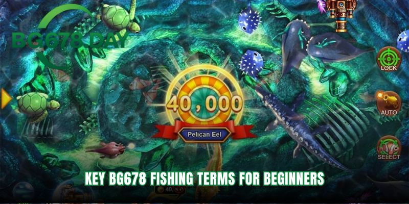 Master the core language of BG678 fishing